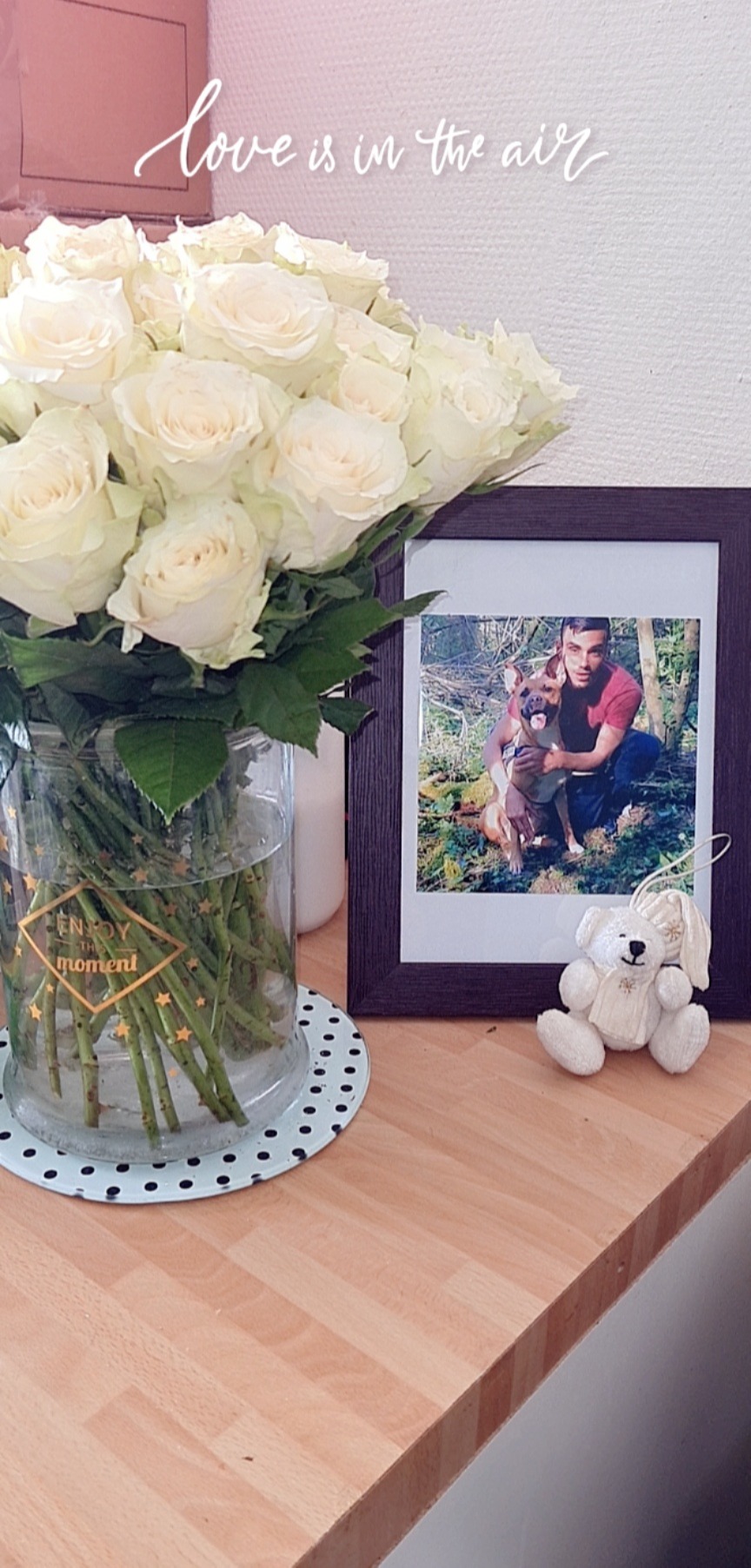 Photo de Steve THIRY