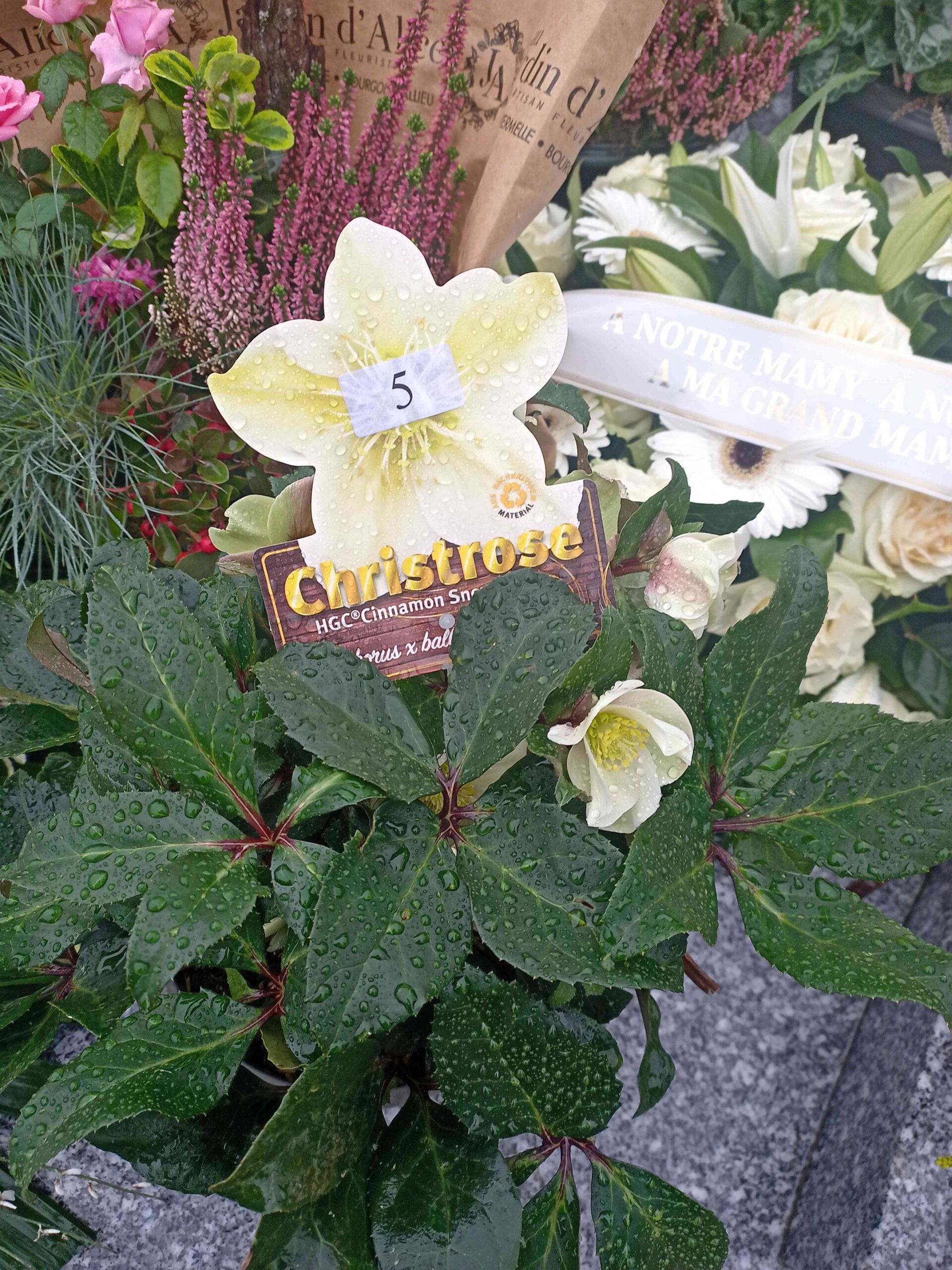 Photo de Francia GUICHARD