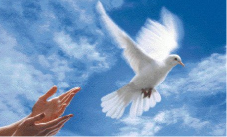 Photo d’Alain POLO