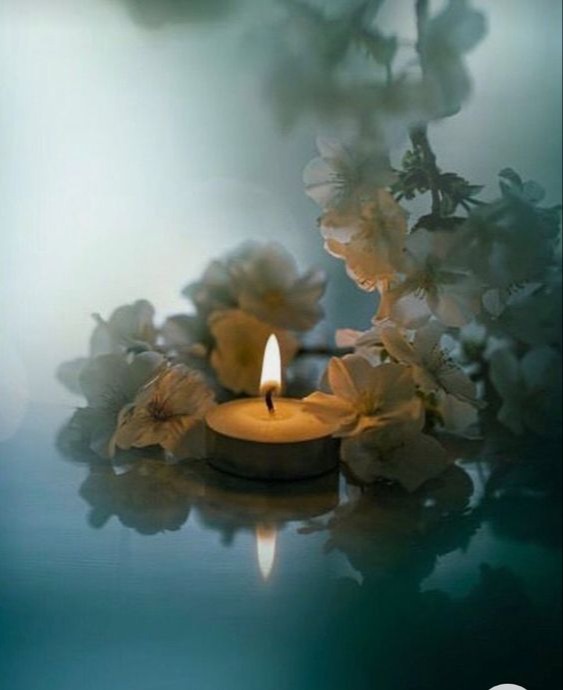 Photo de Dimitria FILIOD